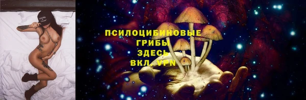mdpv Волоколамск