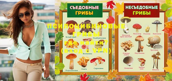 соль ск Волосово