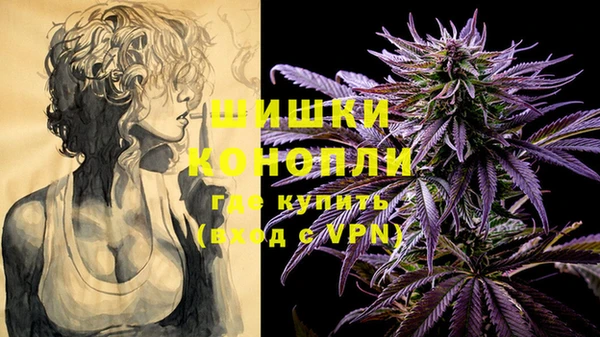 соль ск Волосово