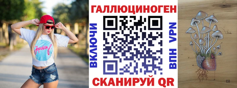 Псилоцибиновые грибы Psilocybe  Славянск-на-Кубани 